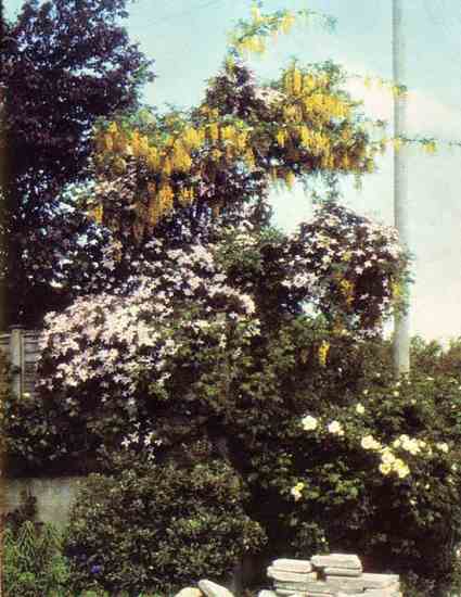 Findhorn is known for the success of its cultivation efforts.